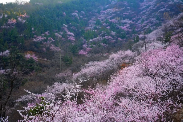 QQ圖片20200401153605.png