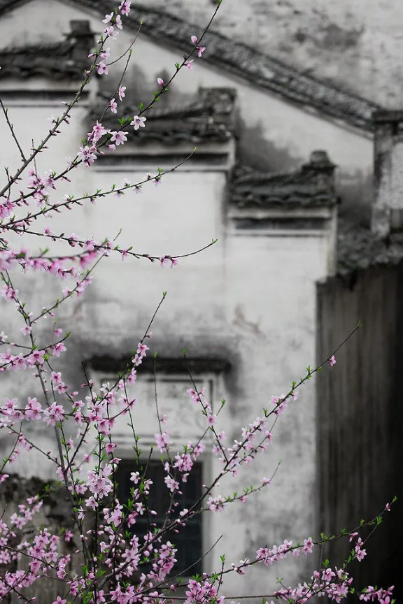 QQ圖片20200401161122.png