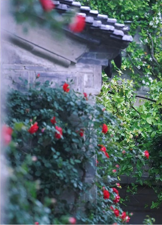 QQ圖片20220613141636.png