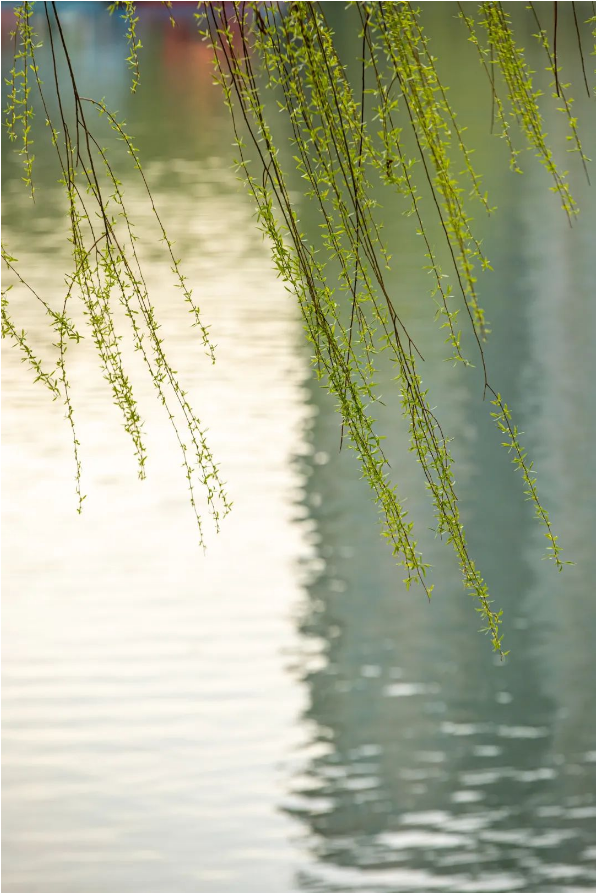 QQ圖片20230317143742.png