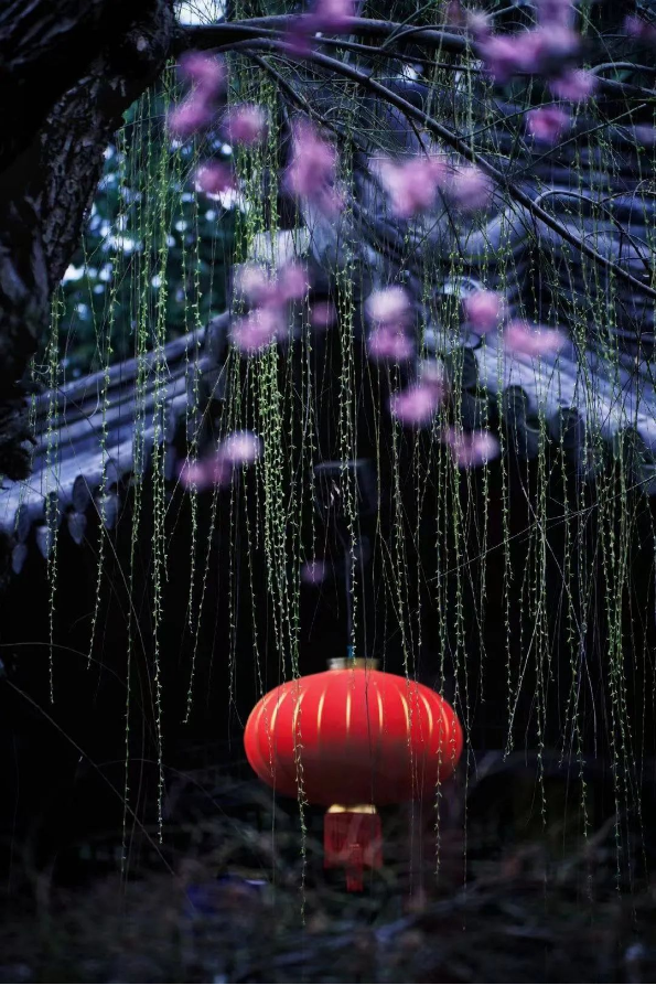 QQ圖片20230317143930.png