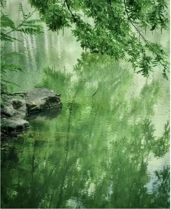 QQ圖片20230613152555.png