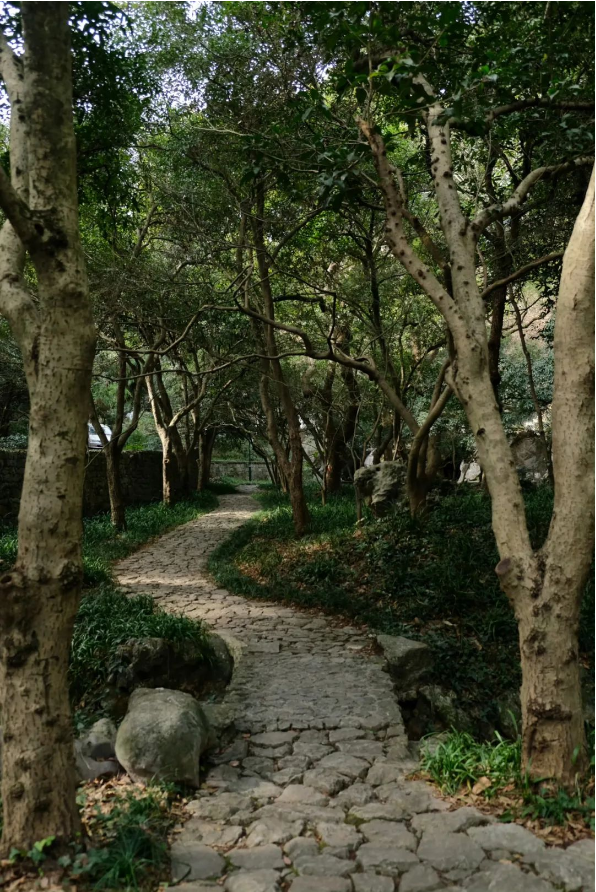QQ圖片20231012145054.png